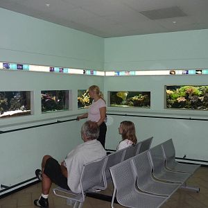 Haus des Meeres, Vienna