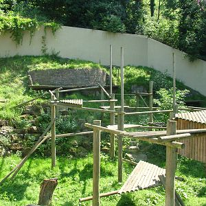 Asian Black Bear enclosure at Dudley 09/08/09