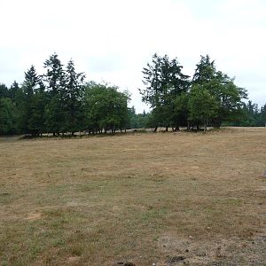 435-Acre Enclosure - Canadian Geese