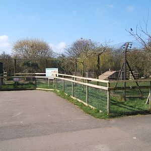 View of Dhole enclosure