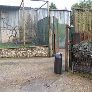View of part of the old Elephant yard