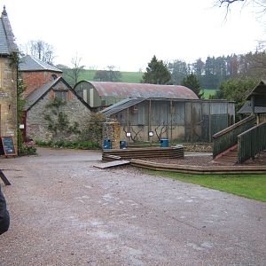 View of the old Elephant barn behind the aviary