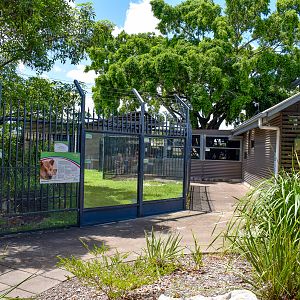 Dingo Enclosure