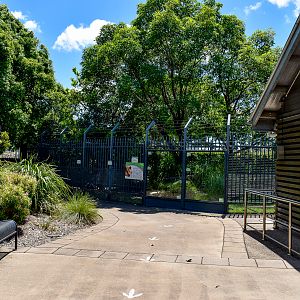 Dingo Enclosure