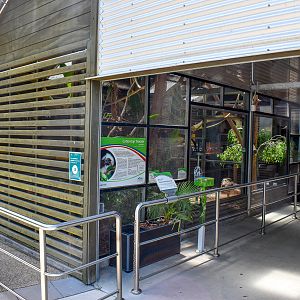 Cotton-top Tamarin Enclosure