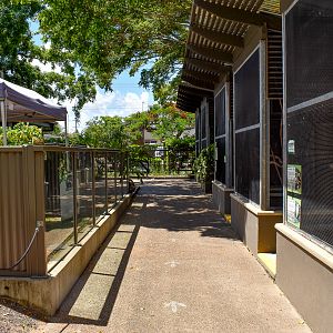 Turtle Enclosures and Parrot Aviaries