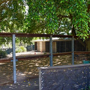 Emu/Parma Wallaby/Swamp Wallaby Enclosure