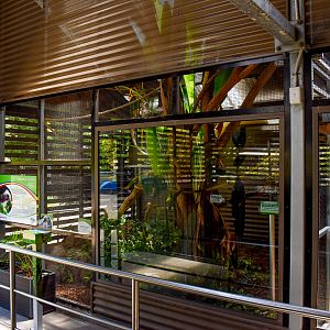 Cotton-top Tamarin Enclosure (one half)