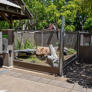 Lace Monitor Enclosure
