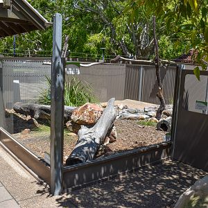 Lace Monitor Enclosure