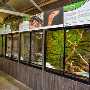 Reptile Enclosures