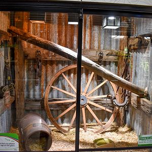 Carpet Python Enclosure