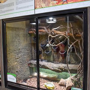 Land Mullet Enclosure