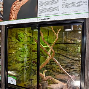 Freckled Monitor Enclosure