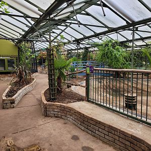 Inside the Tropcical House