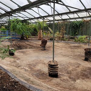 Inside the Tropical House