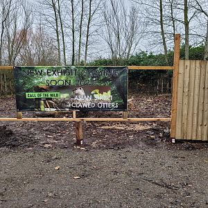 Site for the Future Otter Enclosure