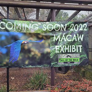 Future Macaw Exhibit