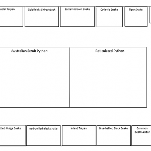 Reptile House Layout - December 2021