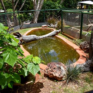 Australian Painted Turtle/Freshwater Crocodile Enclosure