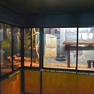 Carpet Python Enclosures