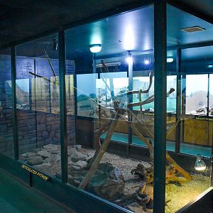 Large Python Enclosures