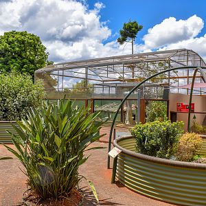 Outdoor Reptile Enclosures