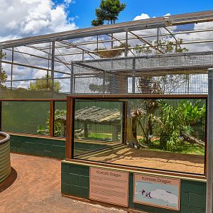 Komodo Dragon Enclosure