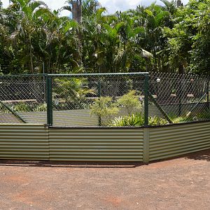 Radiated Tortoise Enclosure