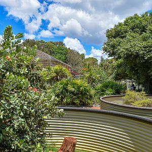 Outdoor Lizard Enclosures