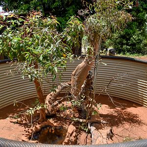 Lace Monitor Enclosure