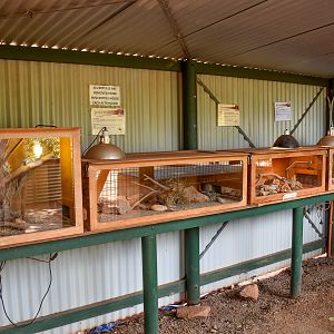 Mini Reptile House Tanks