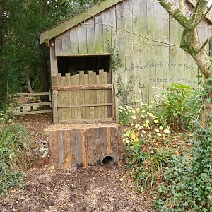 Former Coati house, December 2021