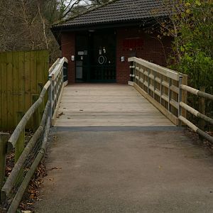 Ape house, December 2021