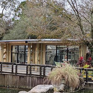 Update on former chimp habitat construction