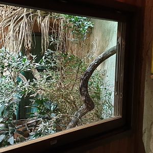 Enclosure and sign King cobra