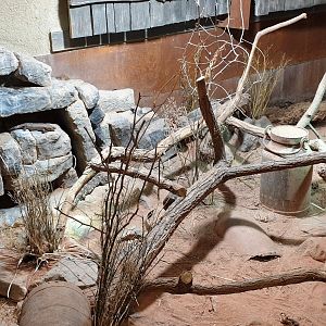 Australian "Outback" enclosure