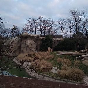 Lion exhibit