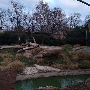 Lion exhibit