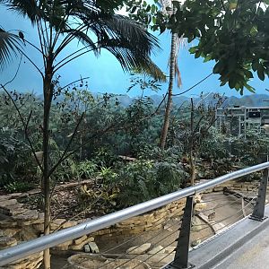 Walk-in Aviary - Reptiles and Birds