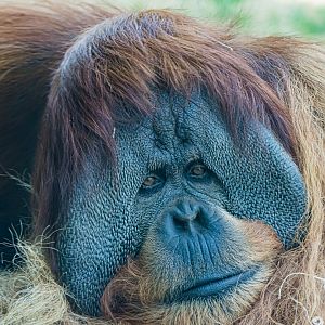 My last photo of Satu