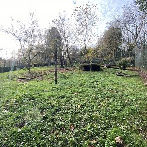 Sumatran tiger enclosure 201121