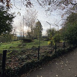 Sumatran tiger enclosure 201121