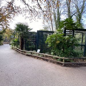 Aviaries 201121