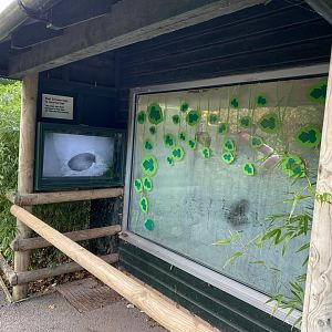 Kiwi viewing area 201121