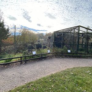 Southern screamer and hornbill aviaries 201121