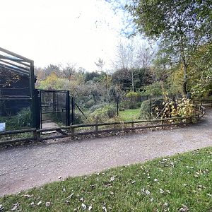 Secretary bird enclosure 201121