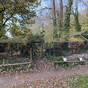 Scarlet ibis aviary 201121