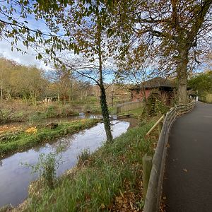 View towards Ape House 201121
