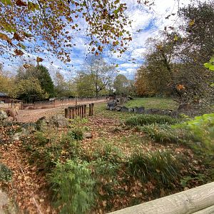 Eastern black rhinoceros enclosure 201121
